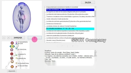 Biofeedback-Analysator Physiotherapie 8d 9d Nls Gesundheitsdiagnosegerät